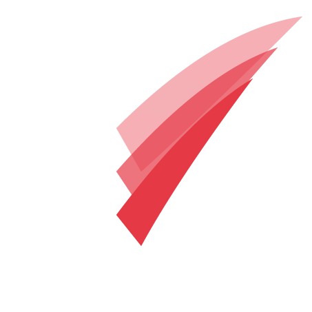 RAVENG Logo